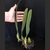 Bulbophyllum Elassonotum Tam.3 - comprar online