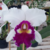 Orquídea (MS 324) Lc.Mildred Rives X Lc. Ectasy X Blc.Empress Of Mercury X Lc. Sheila Campton - Adulta