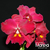 Orquídea Pot. Kozos Scarlet - Tam. 3