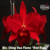 Orquídea Blc. Ching Hua Flame ''Red Rose'' Tam.2