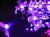 Arbol LED Bonsai XL Flor del Cerezo Violeta - El Rey de la Navidad