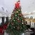 Arbol de Navidad Emperador 1,80mts LINEA PLATINUM - tienda online