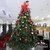 Arbol de Navidad Emperador 2,10mts LINEA PLATINUM - comprar online