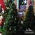 Arbol de Navidad Emperador 1,80mts LINEA PLATINUM - comprar online