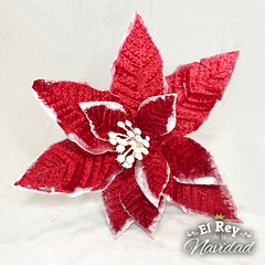 Flor Estrella Federal Premium Color Roja