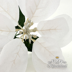 Flor Estrella Federal Blanca 25cm - comprar online