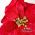 Flor Estrella Federal Roja 23cm - El Rey de la Navidad