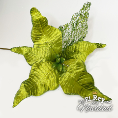 Vara con flor Estrella Federal XL Premium Verde