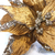 Vara con flor Estrella Federal XL Premium Ocre - comprar online