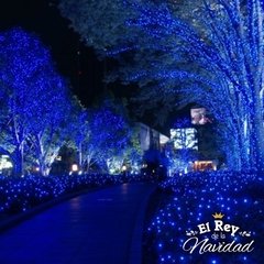 Imagen de Guirnalda de 100 Luces Led 9mts aprox Azules