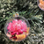 Set x 6 Globos transparentes con Flores Secas Rosas N6 - comprar online