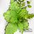 Pick Flor Verde Rustica con Glitter - comprar online