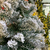 Arbol de Navidad Snow 2.10mts -NEVADO- PREMIUM en internet