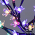Arbol LED Bonsai XL Flor del Cerezo Multicolor - El Rey de la Navidad