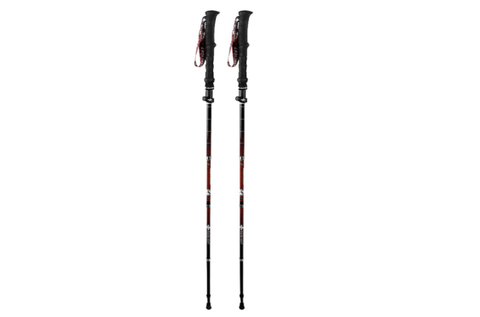 Bastones plegables HYBRID CARBON - Raidlight