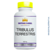 Pote Tribullus Terrestris 500mg 120 cápsulas - comprar online