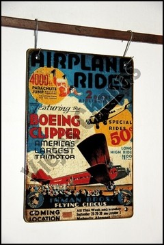 AR-117 airplane rides - comprar online