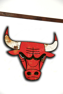 DW-004 Chicago Bulls