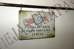 FR-123 y como no sabia que era imposible - comprar online