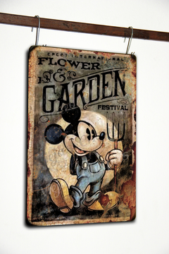 HR-116 Mickey Garden