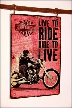 MR-038 Harley Davidson