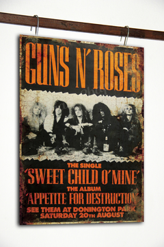 RR-193 Guns`n Roses Domignton Park