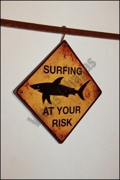 ZC-003 Surfing At Your Risk
