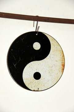 ZO-003 yin yang