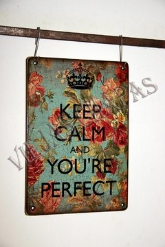 ZR-096 YOU ARE PERFECT - comprar online