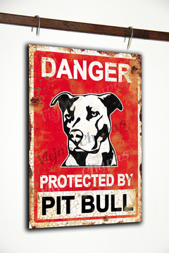 ZR-242 DAnger Pitbull - cuidado