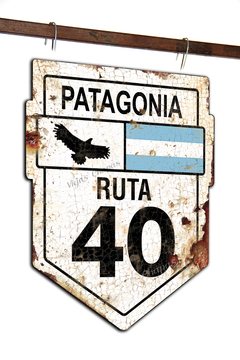 ZW-047 Ruta 40 Patagonia