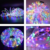 Manguera de Luces Navideñas para Exterior Decoraciones Arbol Rgb 5m - comprar online