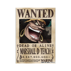 Poster One Piece WANTED Marshall D. Teach Mugiwara Store
