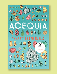 Acequia - Amaury Colmenares