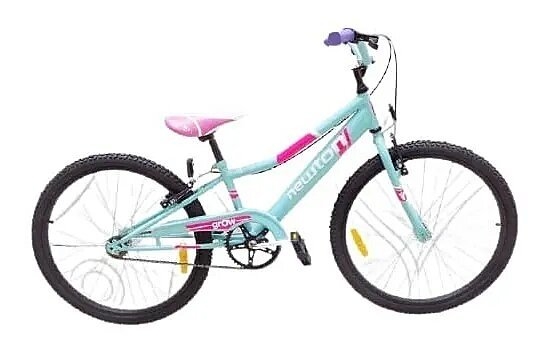 Bicicleta newton outlet rodado 24