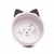 Bowl Gato - comprar online