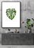 QUADRO PARADISE MONSTERA