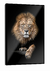 QUADRO PARADISE SHADOW LION - comprar online