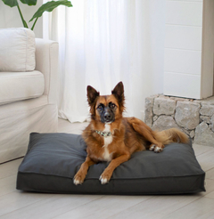 CAMA PERROS XL HUELLA GRIS TOPO - comprar online