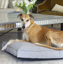 CAMA PERROS XL "SLEEP WELL" GRIS - comprar online