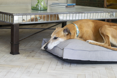 CAMA PERROS XL "SLEEP WELL" GRIS - tienda online