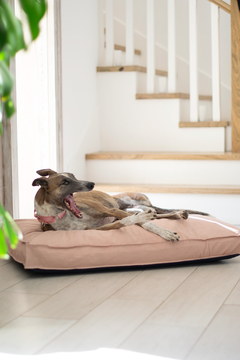 CAMA PERROS "SLEEP WELL" ROSA en internet