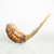 Imagem do Shofar Ram Kosher Importado de Israel Tamanho Raro! 57cm a 62cm