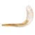 Shofar Ram Kosher Importado de Israel Tamanho Raro! 57cm a 62cm - Resgate Judaica