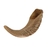 Shofar Ram Carneiro Kosher E1 Importado de Israel 24/29cm