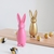 Set de 2 placas Conejo moderno - comprar online