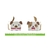 Set Troqueles Tiny Gift Box Dog Add-On Lawn Fawn - comprar online