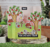 Imagen de Kit de Sellos y Troqueles Apple-Solutely Awesome Lawn Fawn