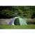 Carpa Coleman Darwin 3P Full Fly - tienda online