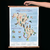 Mapa Colibris De America 46x65 cm